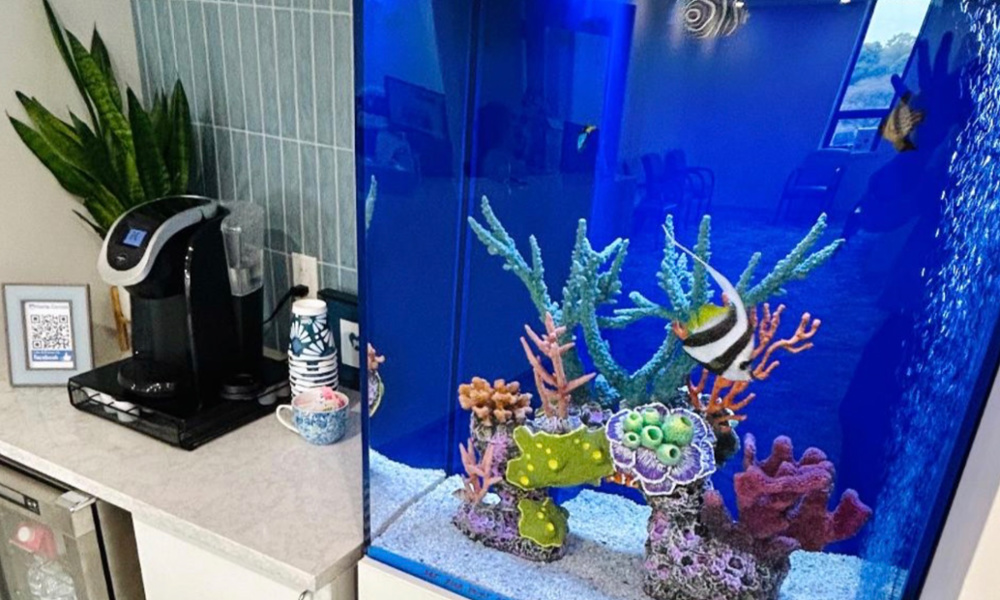 Harte dental fish tank relaxing and coffee and water beverage station. Great relaxing environment at Harte Dental